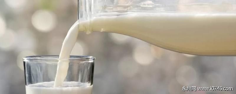 牛奶的美称：液体面包，营养丰富易于吸收并价廉物美