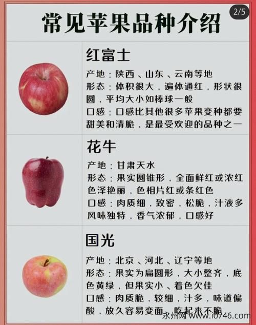 苹果种类有哪些