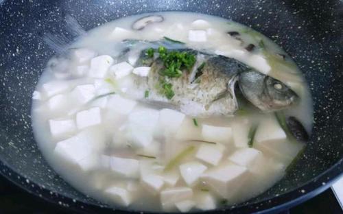 探究鱼汤的丰富营养价值