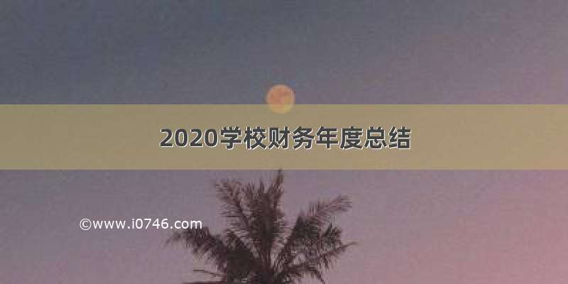 2020学校财务年度总结