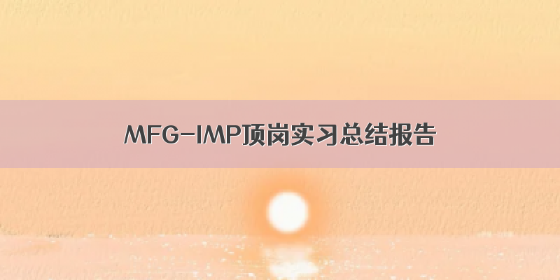 MFG-IMP顶岗实习总结报告