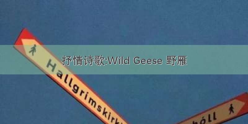 抒情诗歌:Wild Geese 野雁