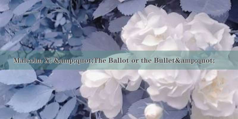 Malcolm X: &quot;The Ballot or the Bullet&quot;