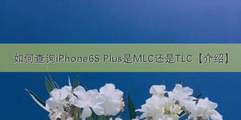 如何查询iPhone6S Plus是MLC还是TLC【介绍】