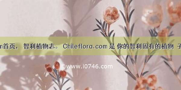 Chileflora.com首页， 智利植物志。 Chileflora.com 是 你的智利固有的植物種子的网上商店。