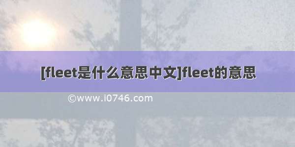 [fleet是什么意思中文]fleet的意思