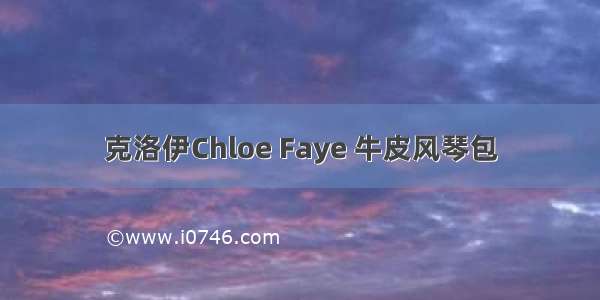 克洛伊Chloe Faye 牛皮风琴包