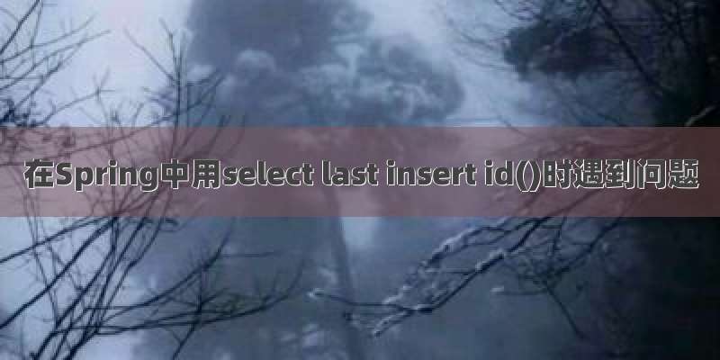 在Spring中用select last insert id()时遇到问题