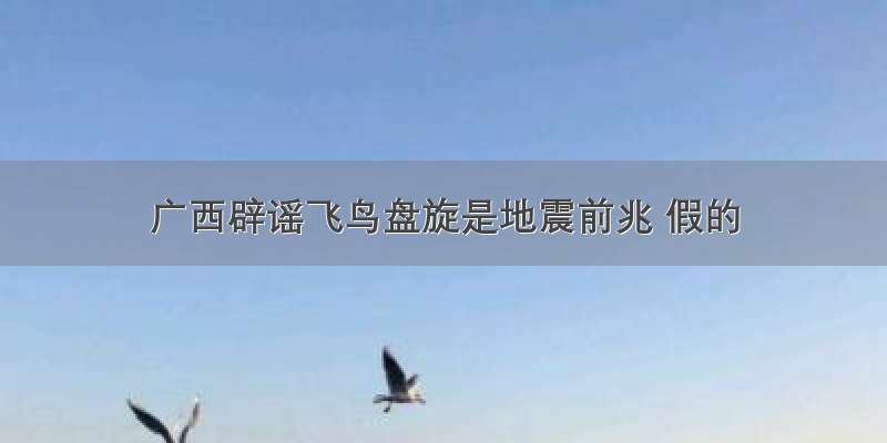 广西辟谣飞鸟盘旋是地震前兆 假的