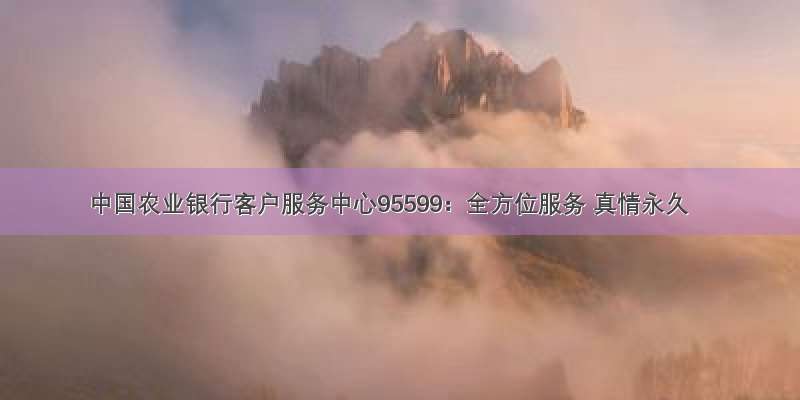 中国农业银行客户服务中心95599：全方位服务 真情永久