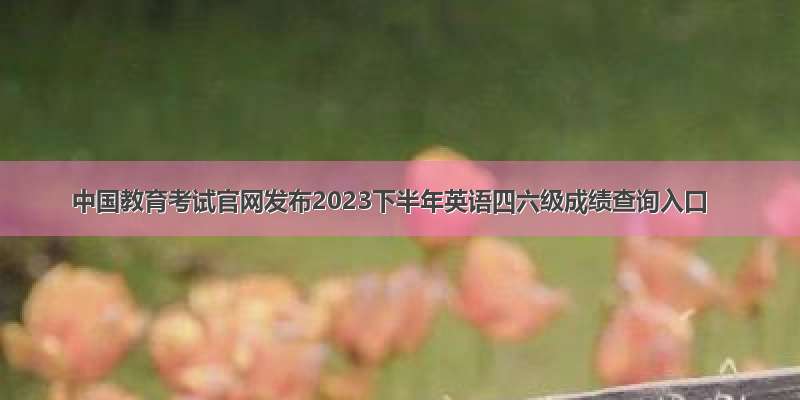 中国教育考试官网发布2023下半年英语四六级成绩查询入口