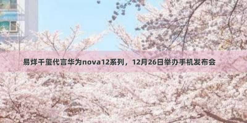 易烊千玺代言华为nova12系列，12月26日举办手机发布会