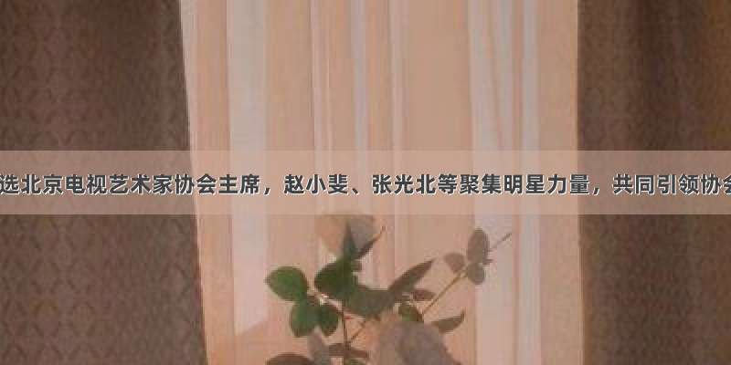 余俊生当选北京电视艺术家协会主席，赵小斐、张光北等聚集明星力量，共同引领协会发展