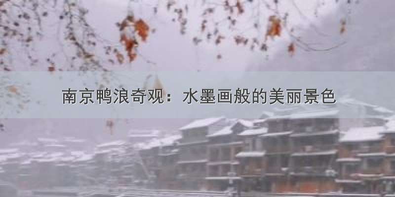 南京鸭浪奇观：水墨画般的美丽景色