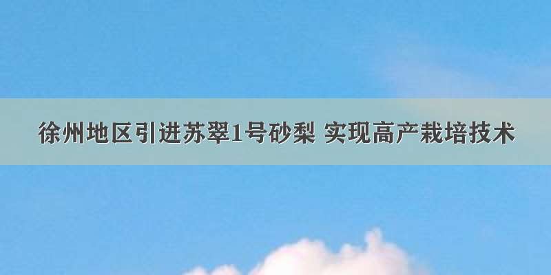 徐州地区引进苏翠1号砂梨 实现高产栽培技术