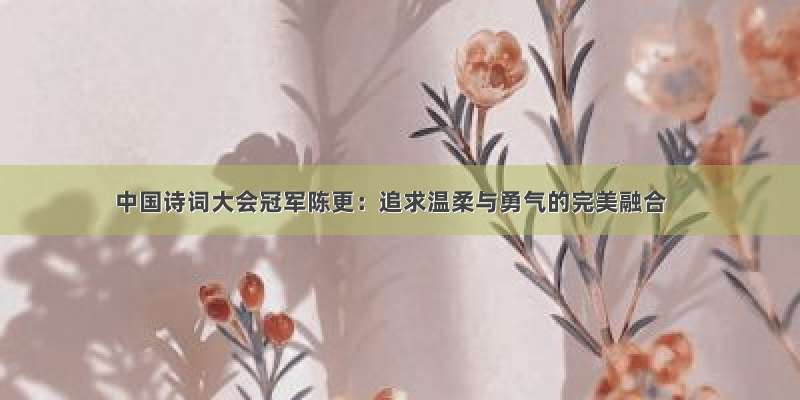 中国诗词大会冠军陈更：追求温柔与勇气的完美融合