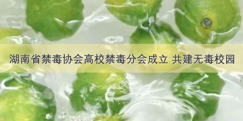 湖南省禁毒协会高校禁毒分会成立 共建无毒校园