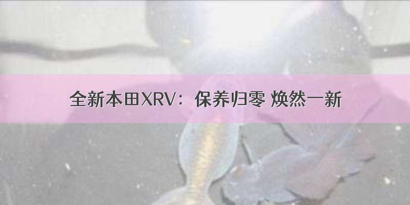 全新本田XRV：保养归零 焕然一新