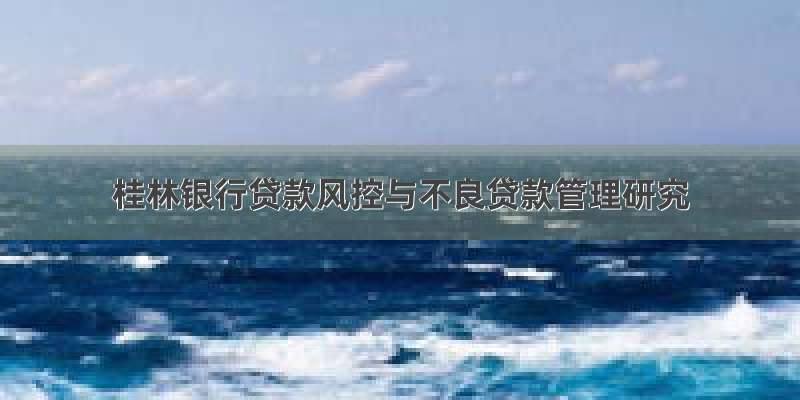 桂林银行贷款风控与不良贷款管理研究