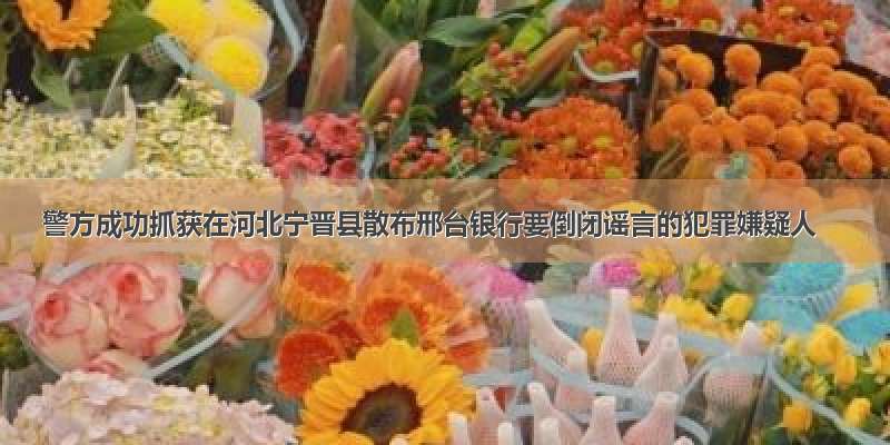 警方成功抓获在河北宁晋县散布邢台银行要倒闭谣言的犯罪嫌疑人