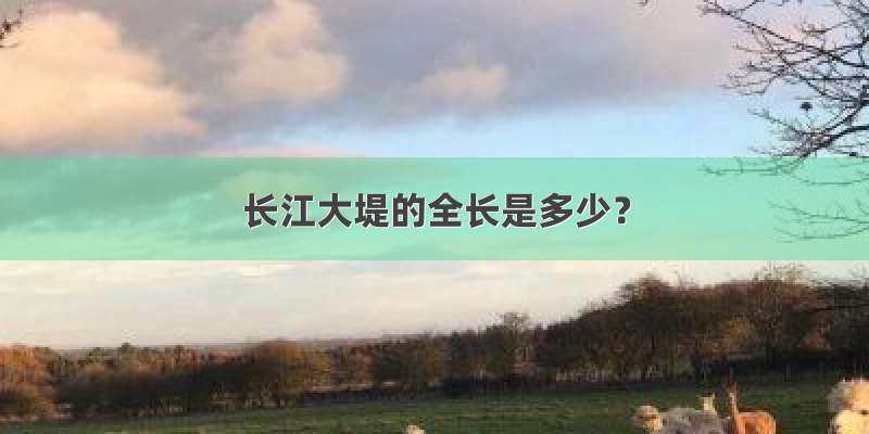 长江大堤的全长是多少？