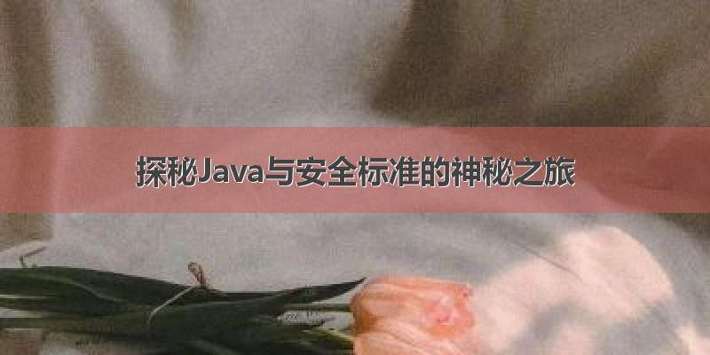 探秘Java与安全标准的神秘之旅