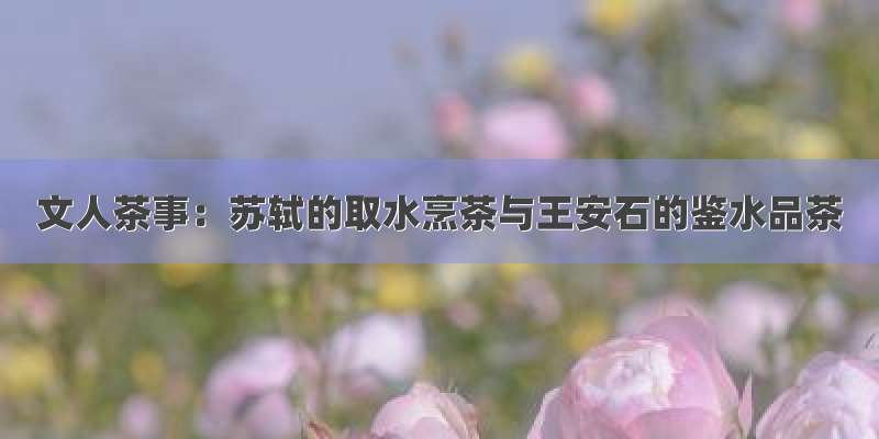 文人茶事：苏轼的取水烹茶与王安石的鉴水品茶