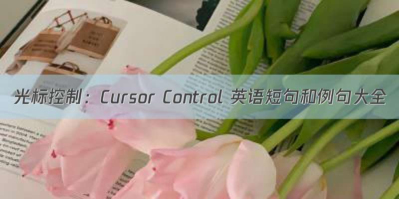 光标控制：Cursor Control 英语短句和例句大全