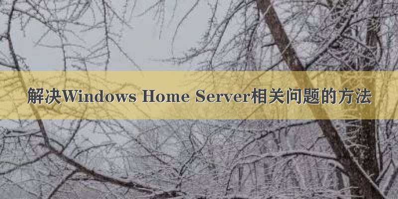 解决Windows Home Server相关问题的方法