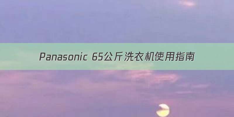 Panasonic 65公斤洗衣机使用指南
