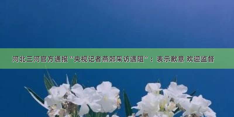 河北三河官方通报“央视记者燕郊采访遇阻”：表示歉意 欢迎监督