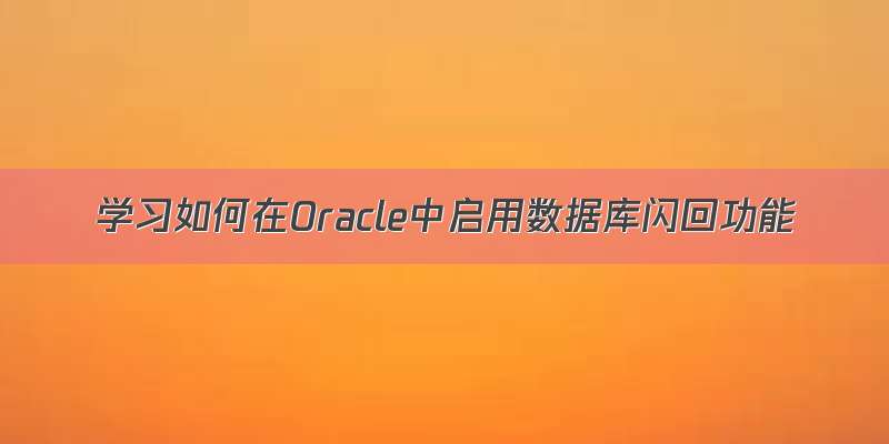 学习如何在Oracle中启用数据库闪回功能